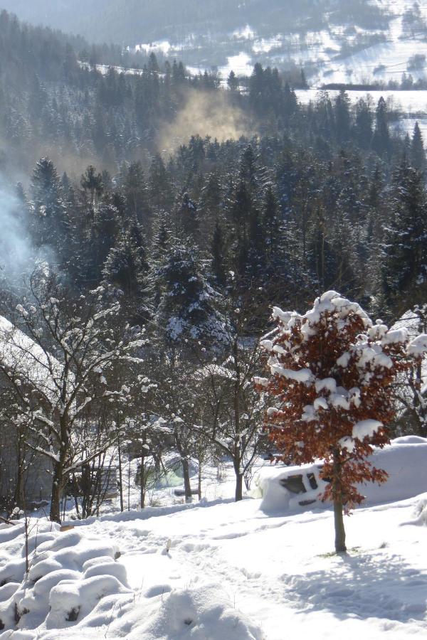 Domki Z Prywatna Sauna- Na Szlaku Milówka Esterno foto