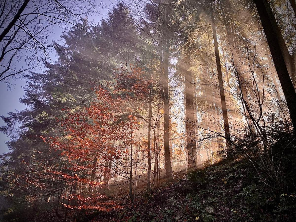 Domki Z Prywatna Sauna- Na Szlaku Milówka Esterno foto