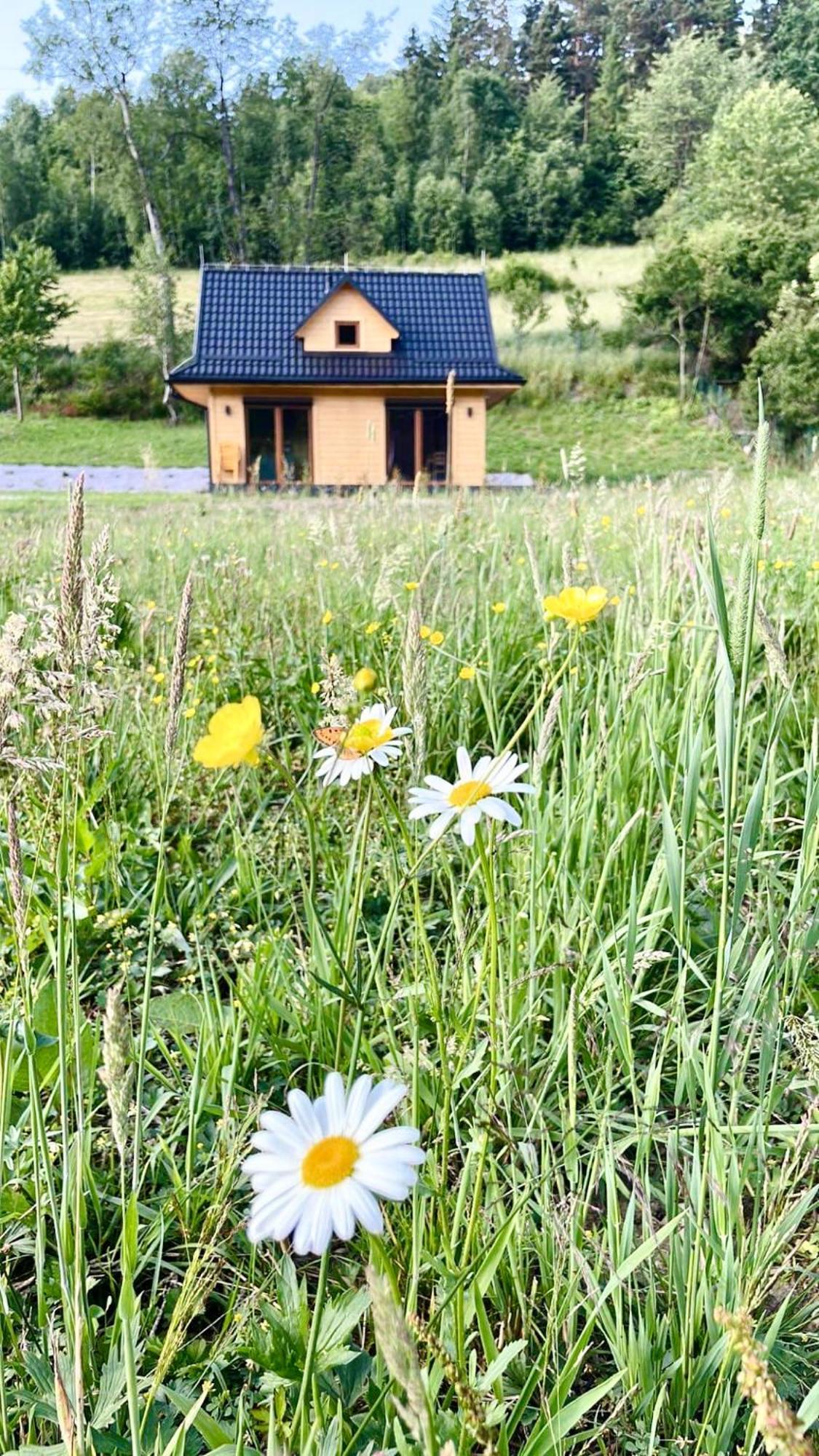 Domki Z Prywatna Sauna- Na Szlaku Milówka Esterno foto